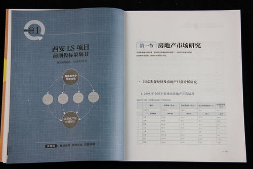 地产项目全程策划五星档案 共四册 房地产营销策划书籍