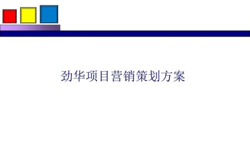 劲花项目营销策划方案分享